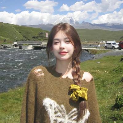 苏恩之争